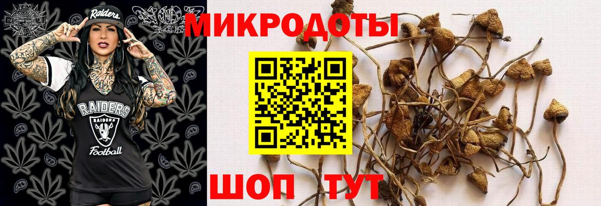 Галлюциногенные грибы GOLDEN TEACHER  Псилоцибиновые грибы GOLDEN TEACHER  Вход с VPN  Уссурийск 